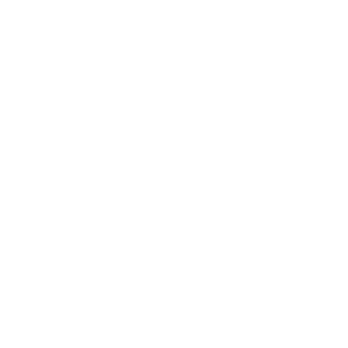 Global Star Transportation