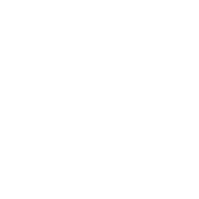 Global Star Transportation